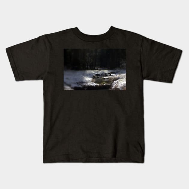 snowy Oregon forest, fox creek 11 Kids T-Shirt by DlmtleArt